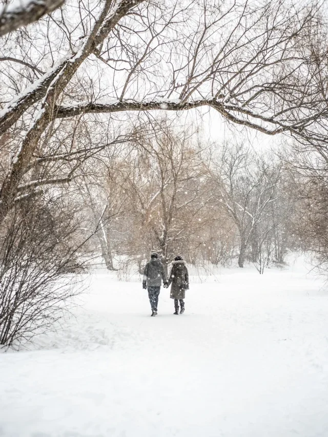 Best Places In Manali For Couples