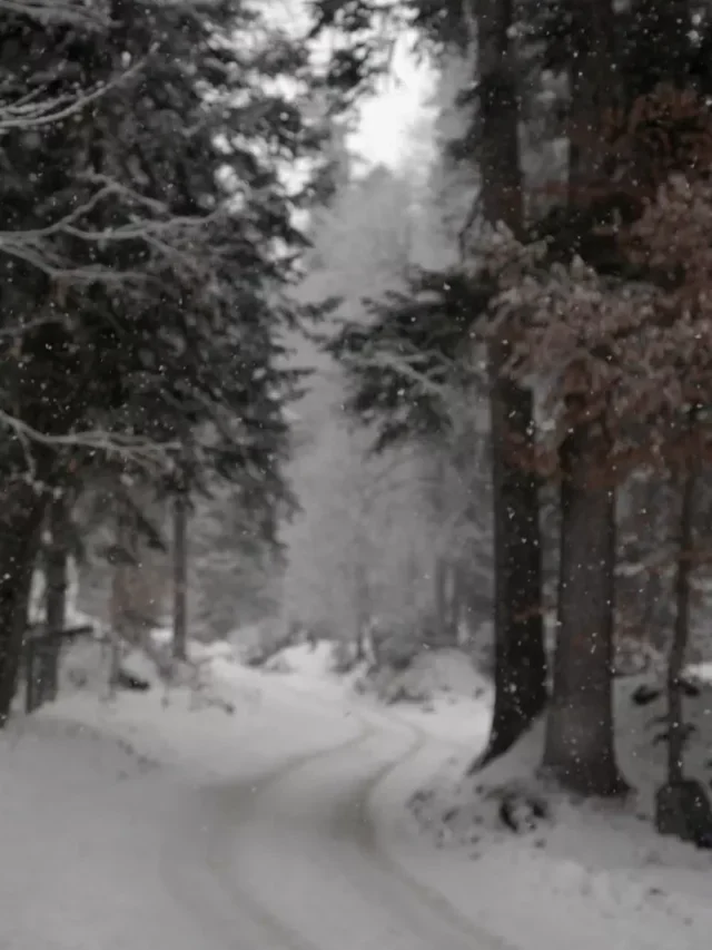 Tourist Place In Uttrakhand In winter