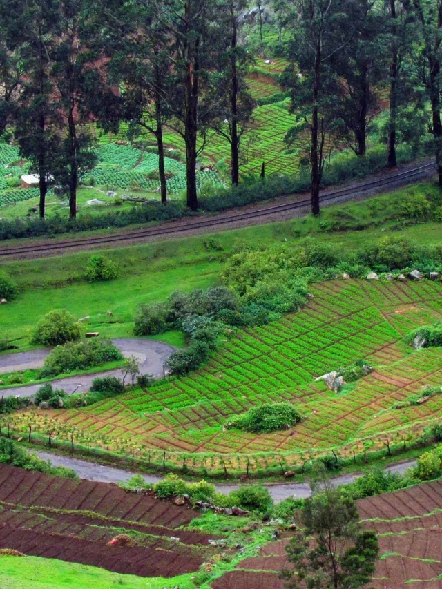 Ooty Tourist Place In India