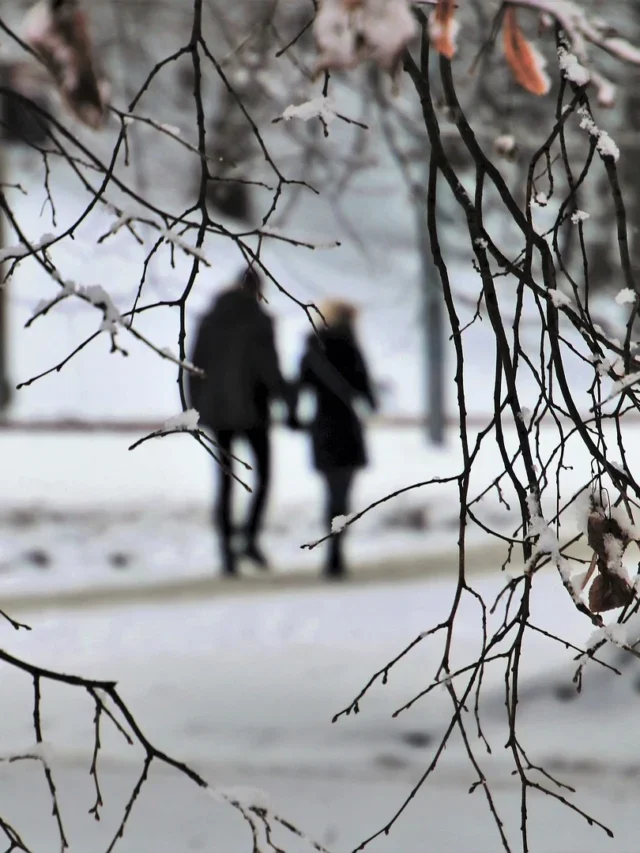 Best 5 Honeymoon Places In India