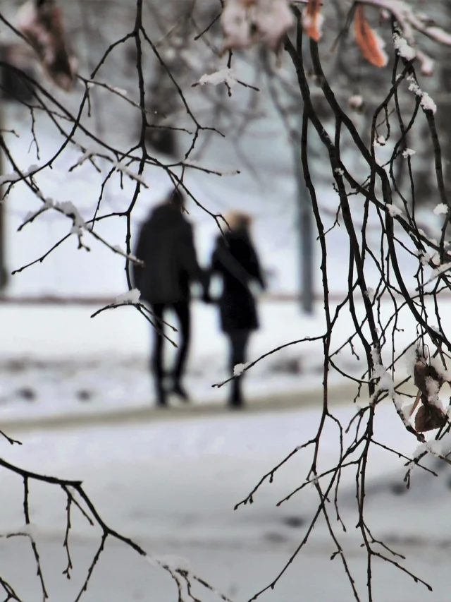 Does Any Best Honeymoon Destinations In India?