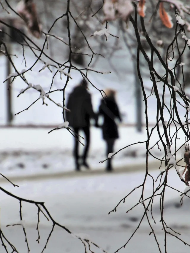 भारत में सबसे अच्छा हनीमून डेस्टिनेशन