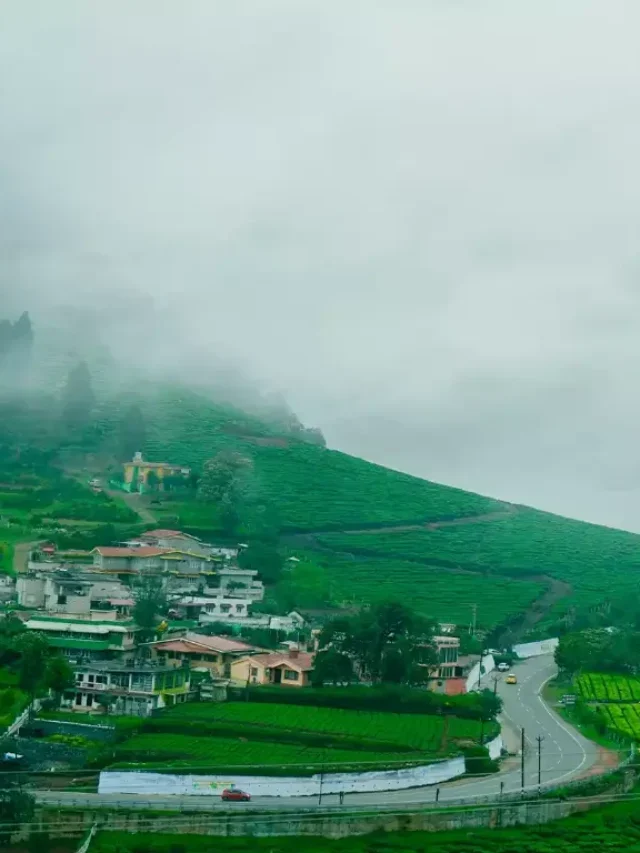 ऊटी में करने के लिए सबसे अच्छी चीजें