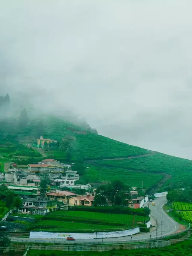 Best Things To do in Ooty