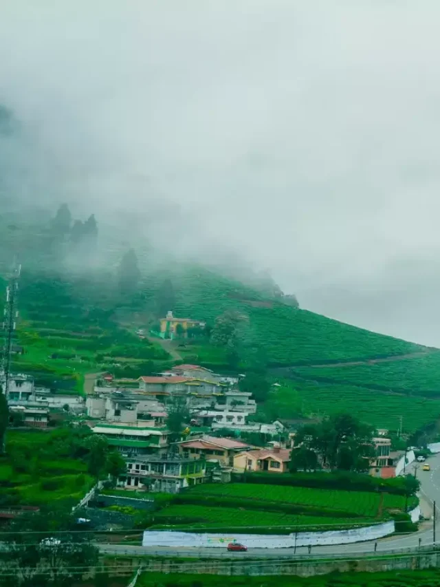 10 Best Tourist Places In Ooty