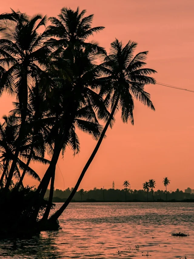 Best Tourist places in kerala