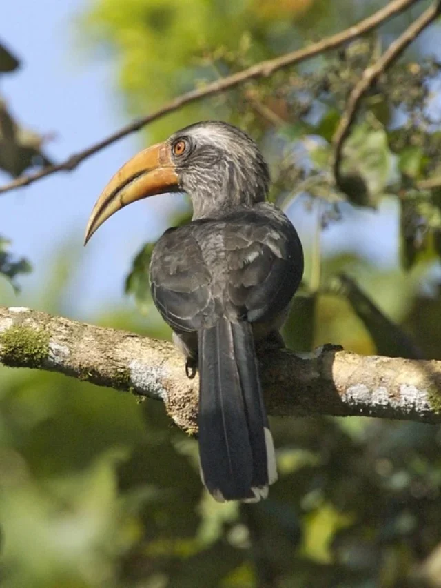 एर्नाकुलम में छिपे हुए पर्यटन स्थल