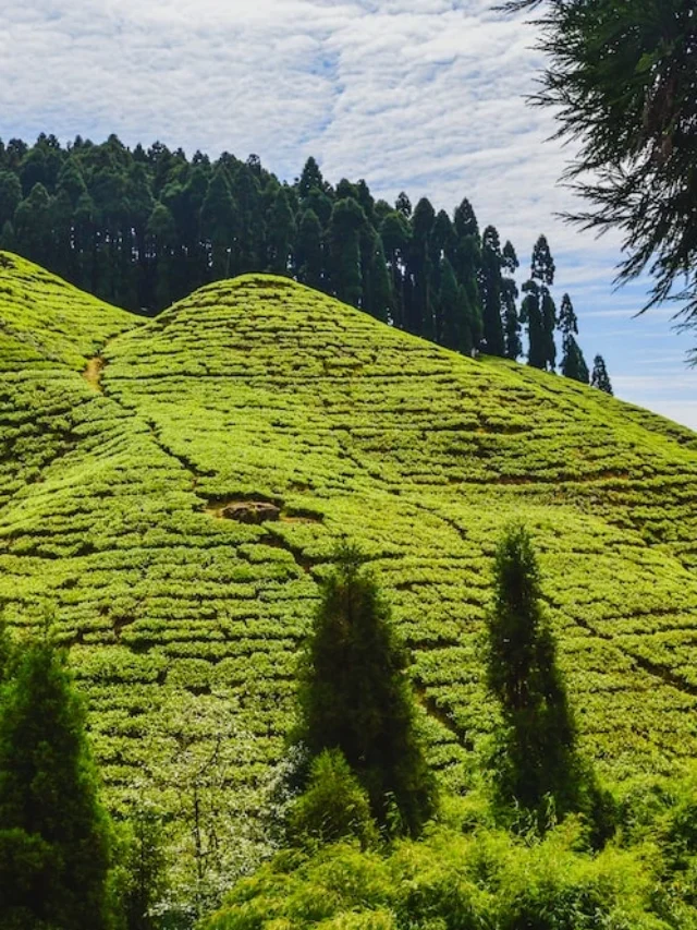 भारत में गर्मियों के लिए सर्वश्रेष्ठ गंतव्य