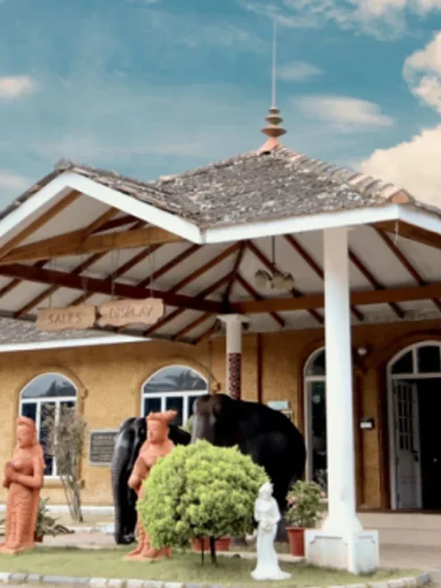 कपल्स के लिए कोझिकोड में घूमने की जगहें