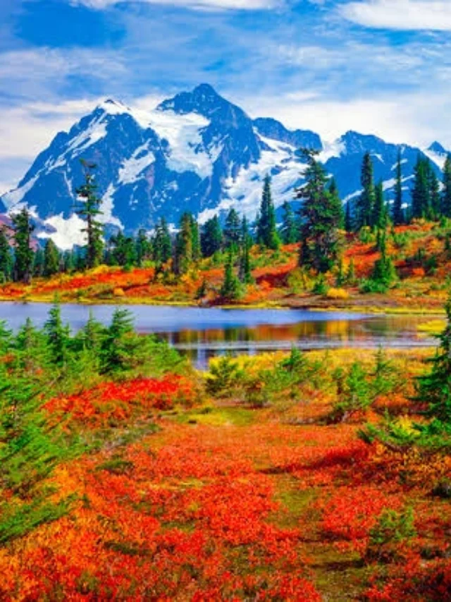 सोलो ट्रिप के लिए लद्दाख में घूमने की बेहतरीन जगहें