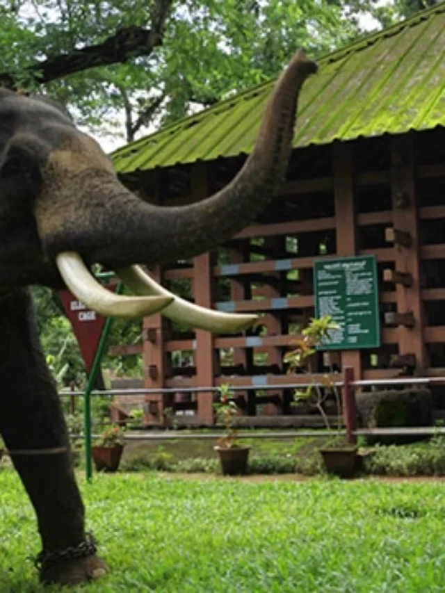 पठानमथिट्टा में छिपे हुए स्थान