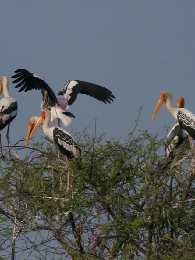 परिवार के लिए नासिक के पास एक दिन का पिकनिक स्पॉट