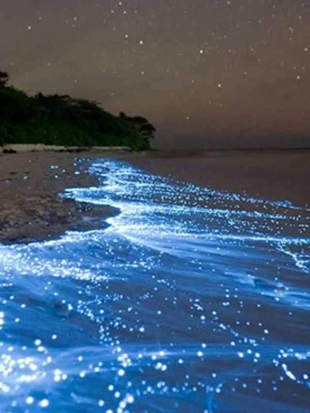 मालदीव में जोड़ों के लिए छिपी हुई जगहें