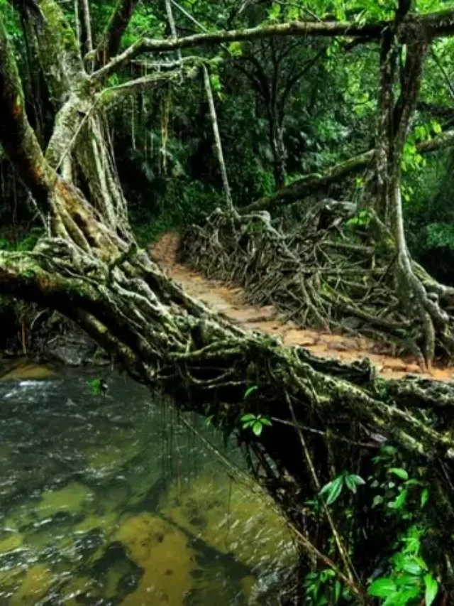 मौसिनराम के दर्शनीय स्थल