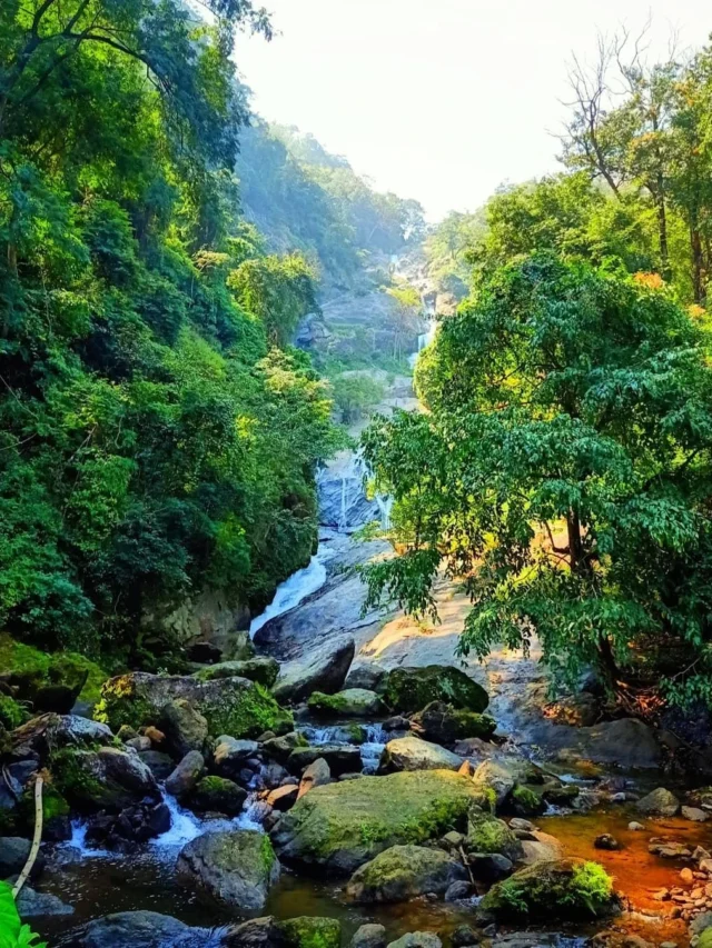 कपल्स के लिए कोयंबटूर में घूमने की बेहतरीन जगहें