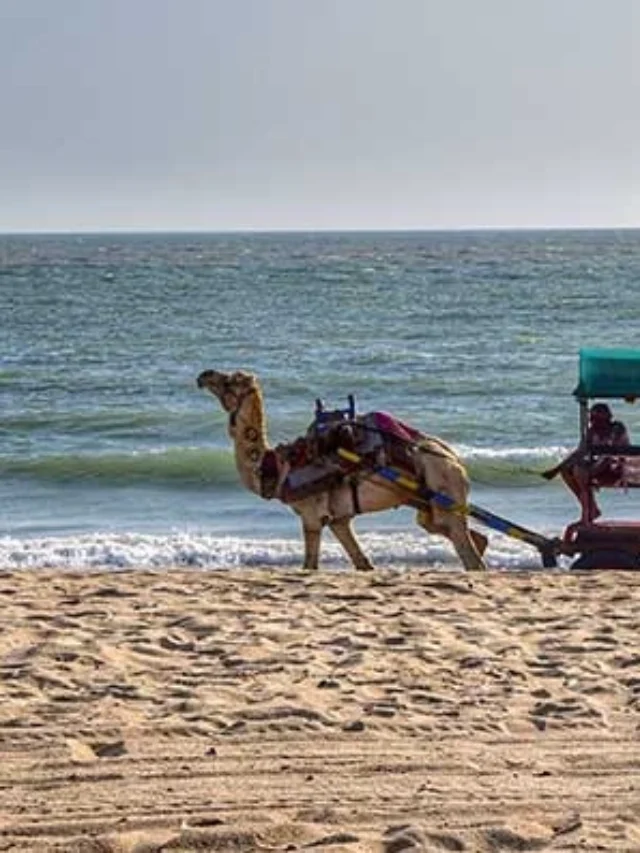 कच्छ में घूमने की छुपी जगहें