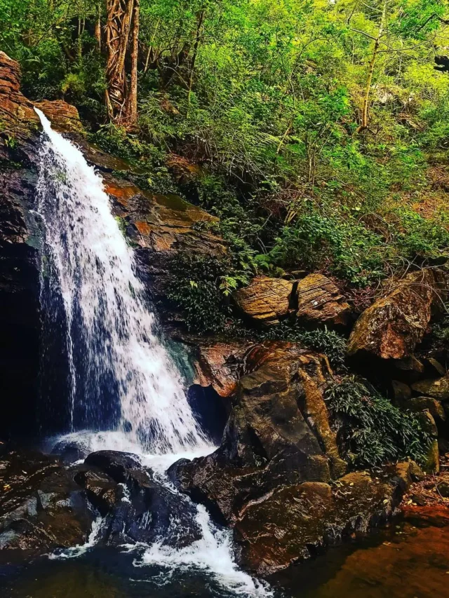 मध्य प्रदेश के छिपे हुए पर्यटन स्थल