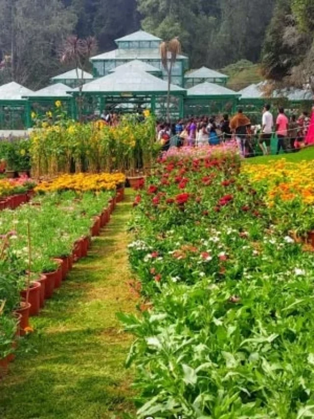 ऊटी में घूमने की रोमांटिक जगहें