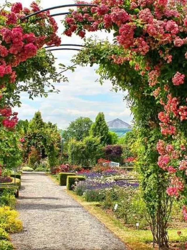 कपल्स के लिए दिल्ली में कम भीड़-भाड़ वाली जगहें