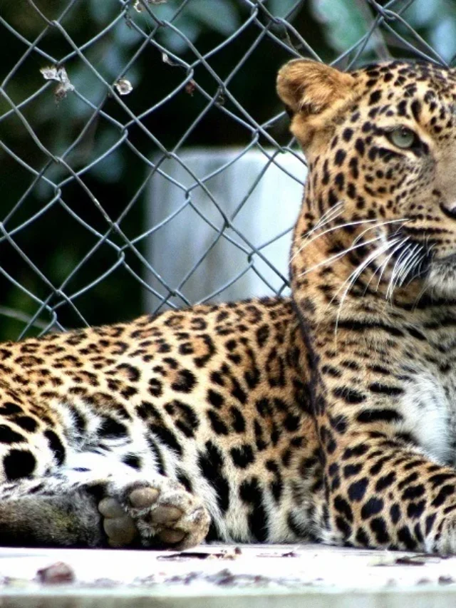 कानपुर में गर्लफ्रेंड के साथ घूमने की जगह