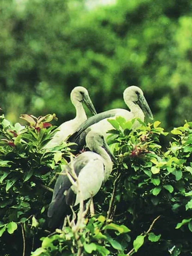 वीकेंड में मुंबई के पास घूमने की सबसे सुंदर जगह