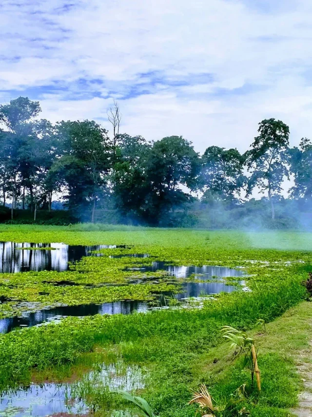 भारत में 10 छुपी हुई जगहें जो आपको पूरी तरह से हैरान कर देंगी!