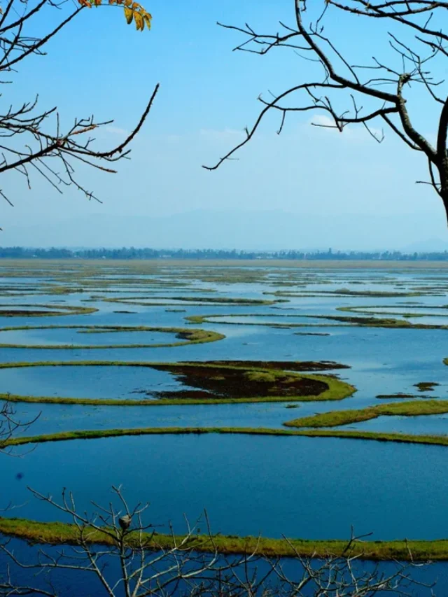 लोकटक झील मणिपुर का एक छिपा हुआ रत्न