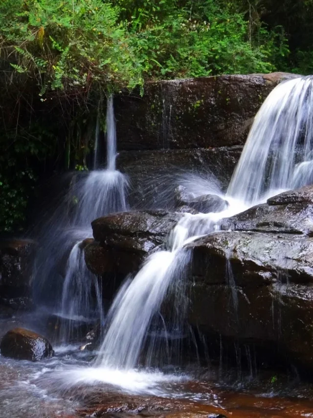 कोडाइकनाल में अज्ञात स्थान