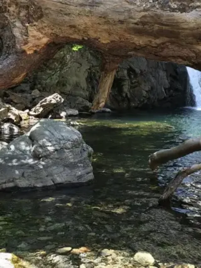 गोवा में करने के लिए रोमांचक चीजें