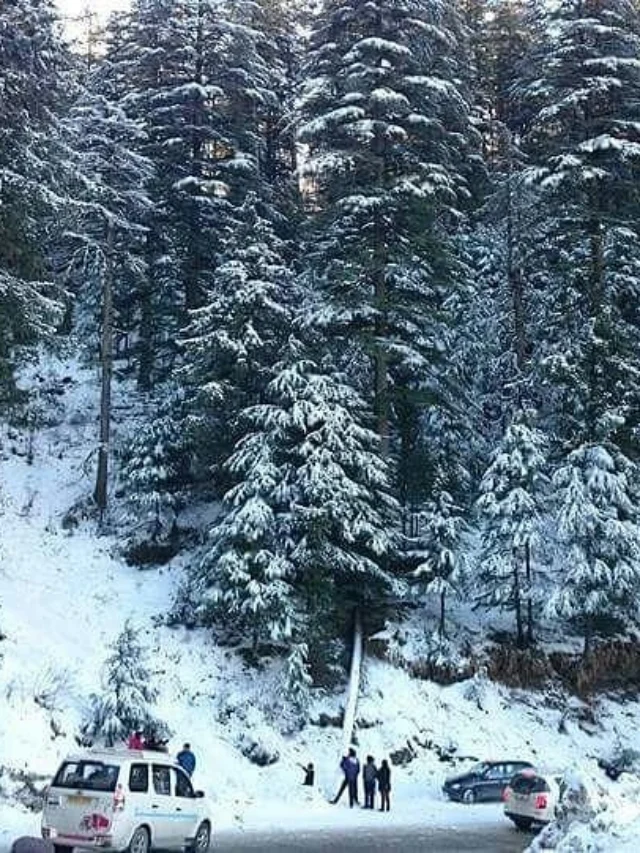 कुफरी शिमला में घूमने की जगह