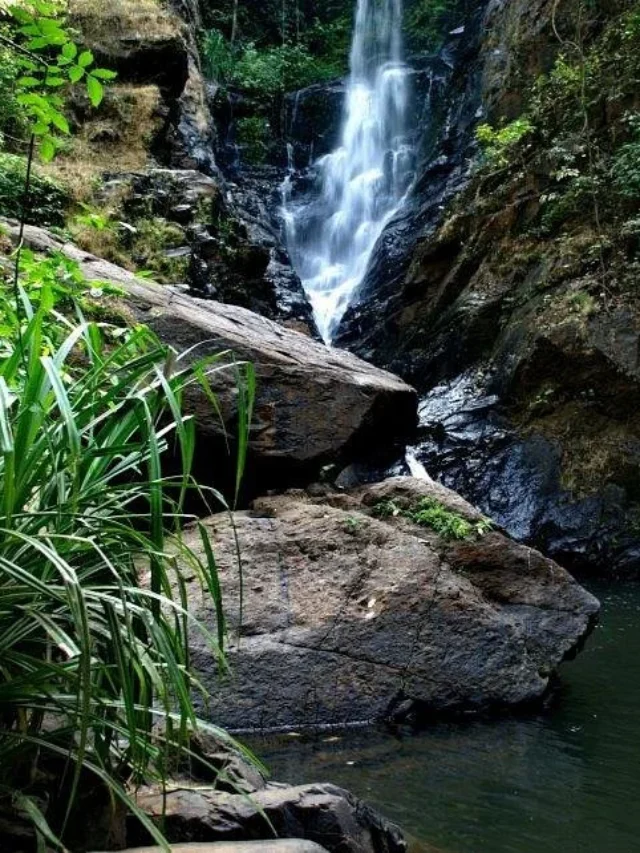 गोवा में घूमने के लिए छिपे हुए स्थान