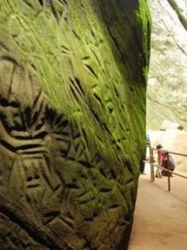 वायनाड: हरा भरा स्वर्ग