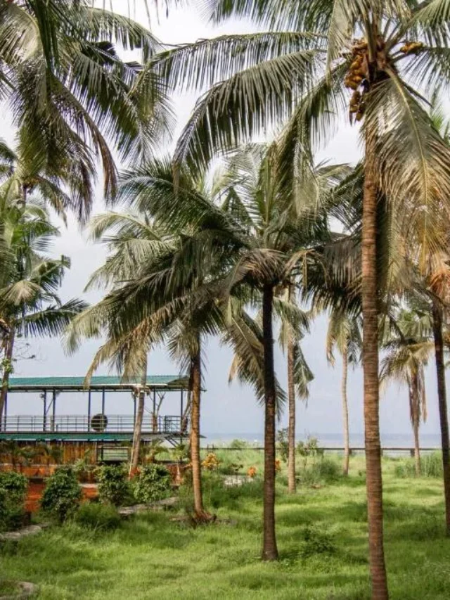 कन्नूर में घूमने की छुपी जगहें