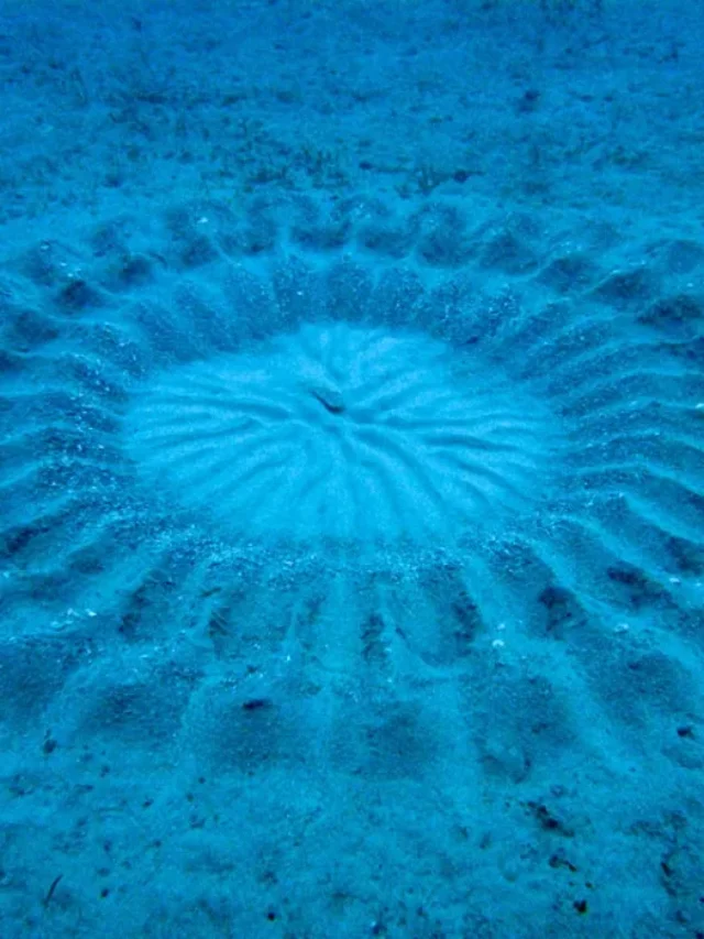 Google Earth पर अजीबोगरीब जगहें