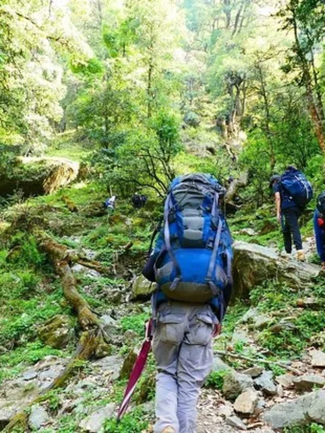 इस समय घूमने जाएं मसूरी: मसूरी घूमने का सबसे अच्छा समय